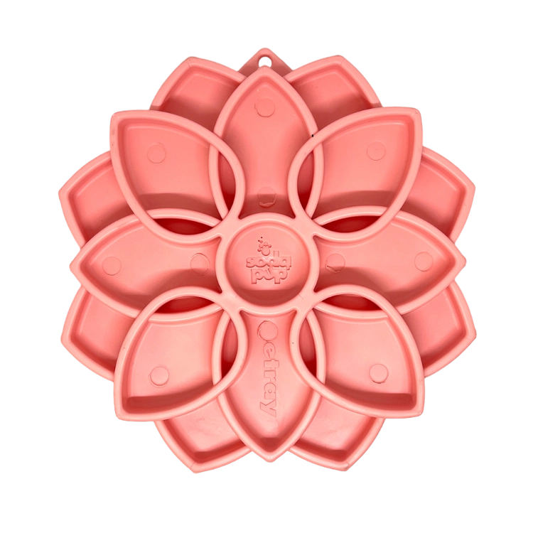 Grand plateau d'enrichissement - Mandala