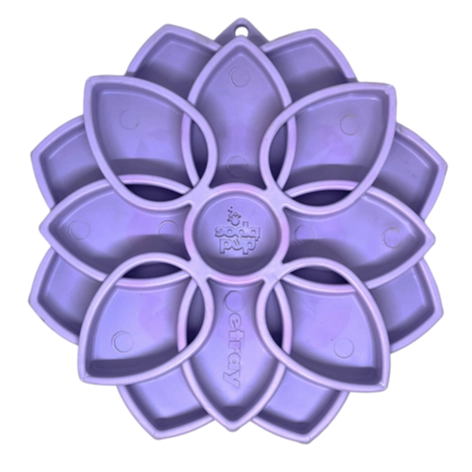 Grand plateau d'enrichissement - Mandala