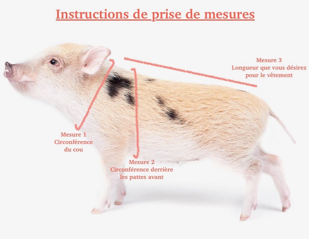 Ensemble harnais & laisse - cochon ADULTE