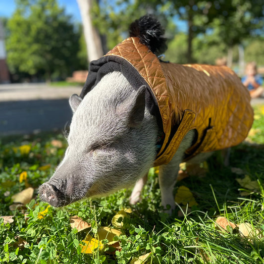 Manteaux d'hiver matelassé - fini imperméable