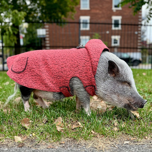 Manteaux d'hiver en lainage