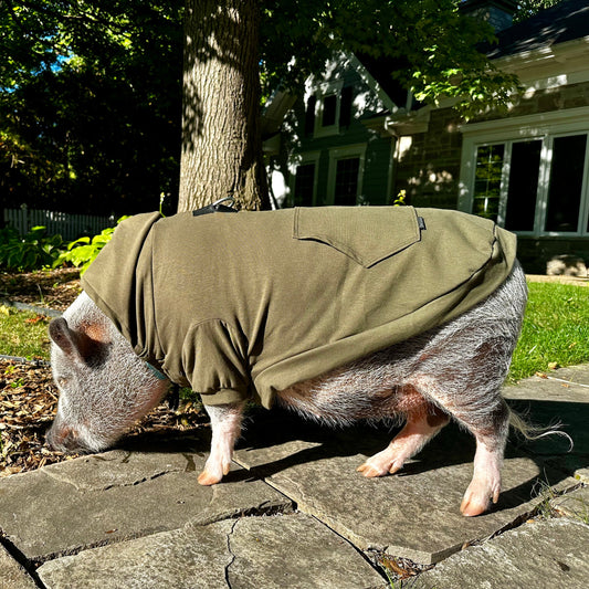 Coton ouaté enfilable