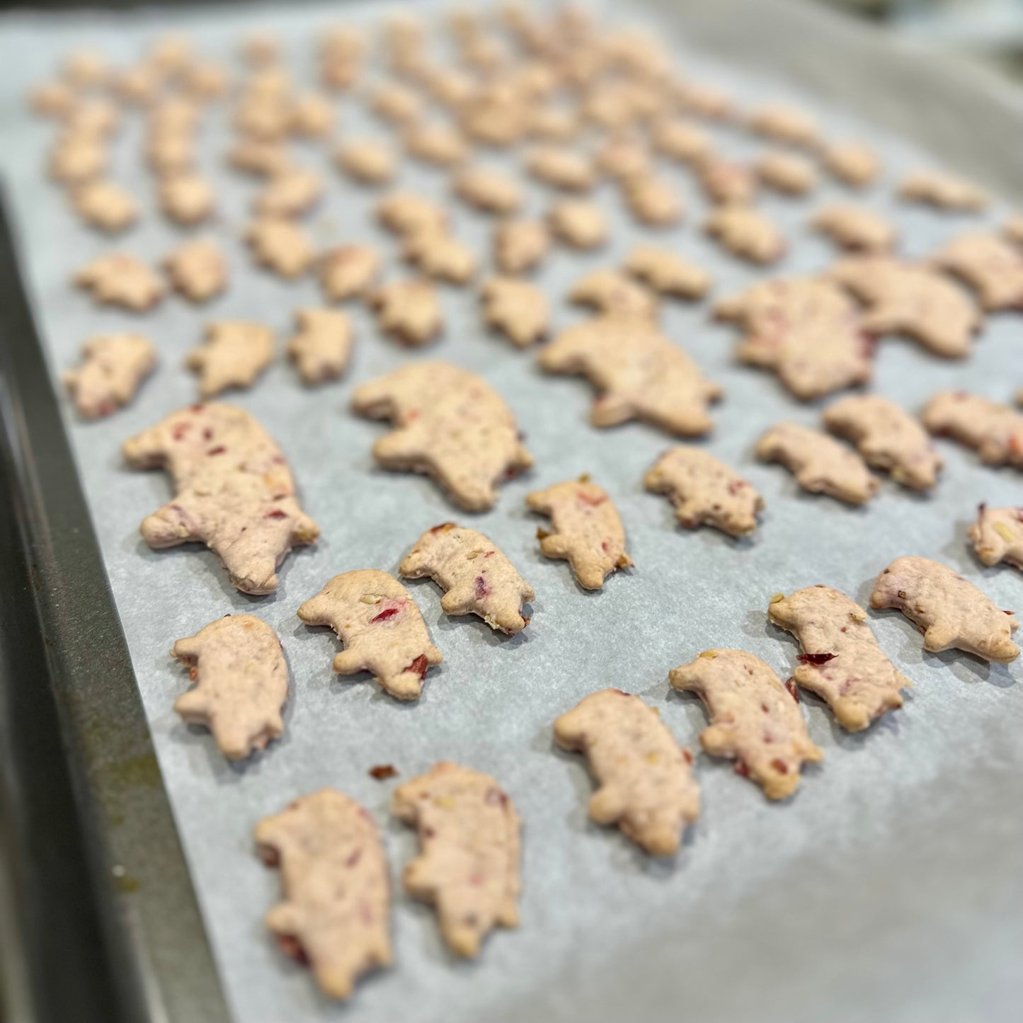 Biscuits artisanaux - Avoine & Canneberges - 180g