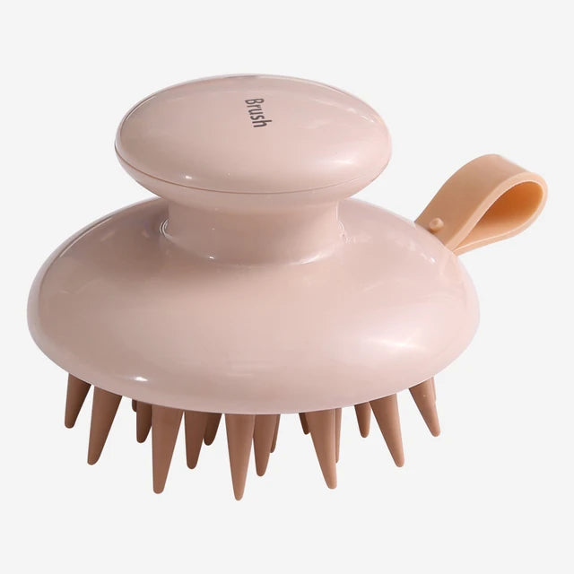 Brosse distributrice