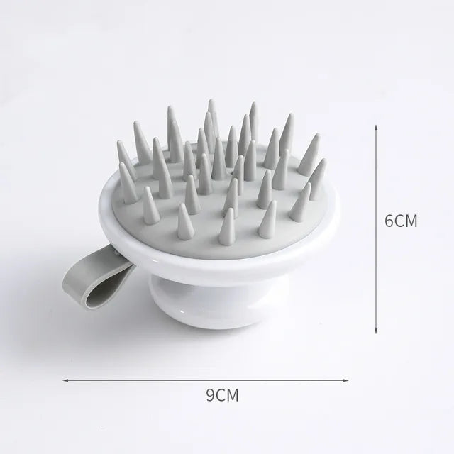 Brosse distributrice