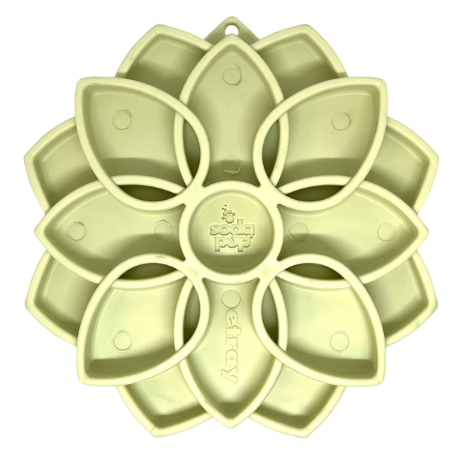 Grand plateau d'enrichissement - Mandala
