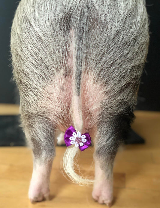 Boucles décoratives - Noël