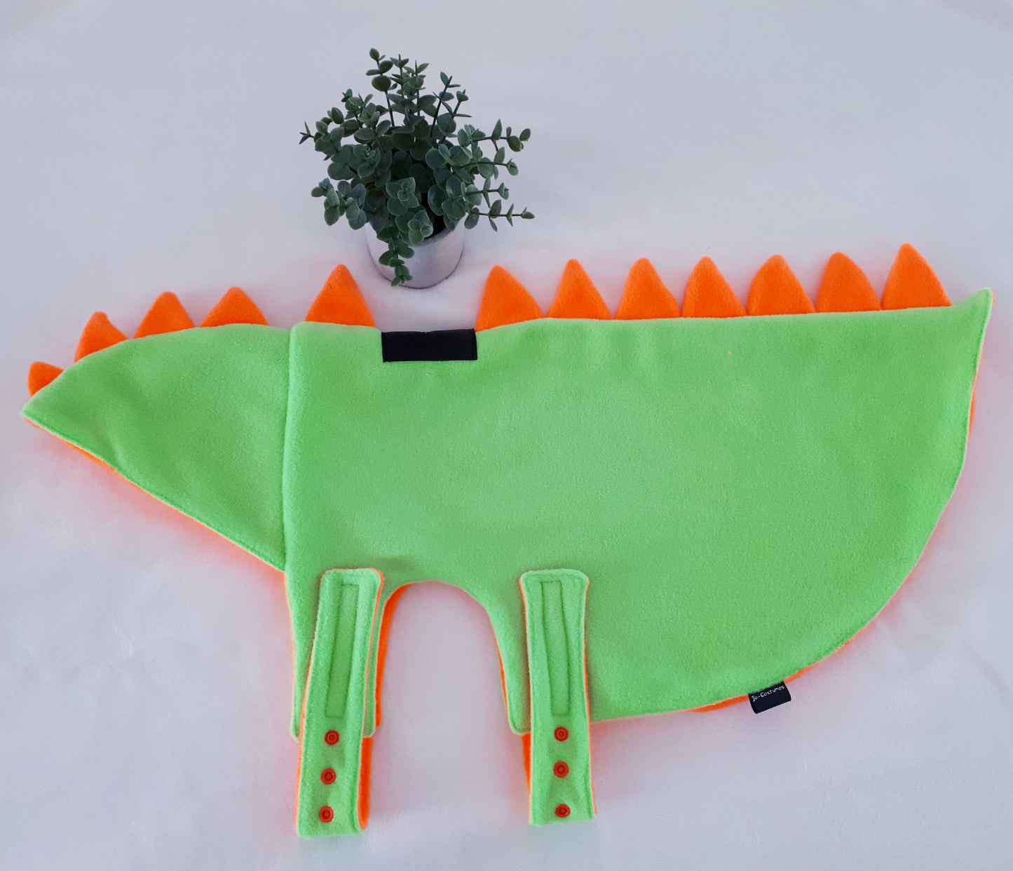 Polar dino