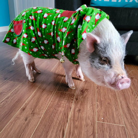 Chemise de Noël - Lutins