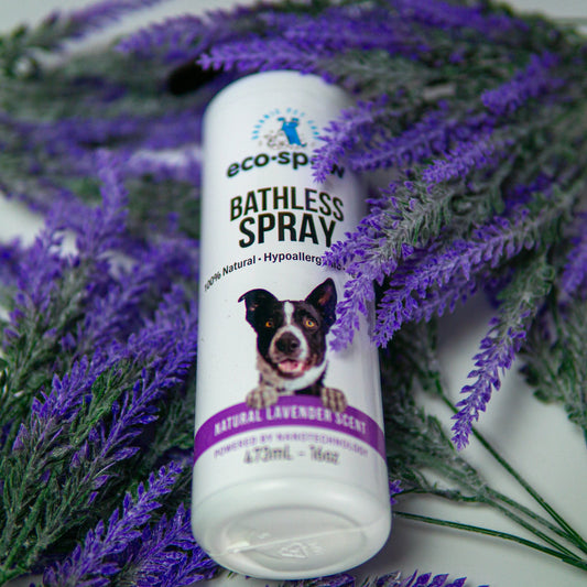 Shampoing sans-rinçage