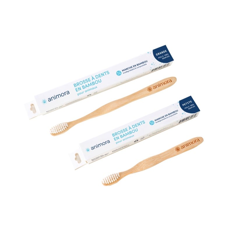 Brosse à dents en bambou