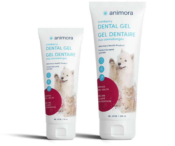 Gel dentaire aux canneberges