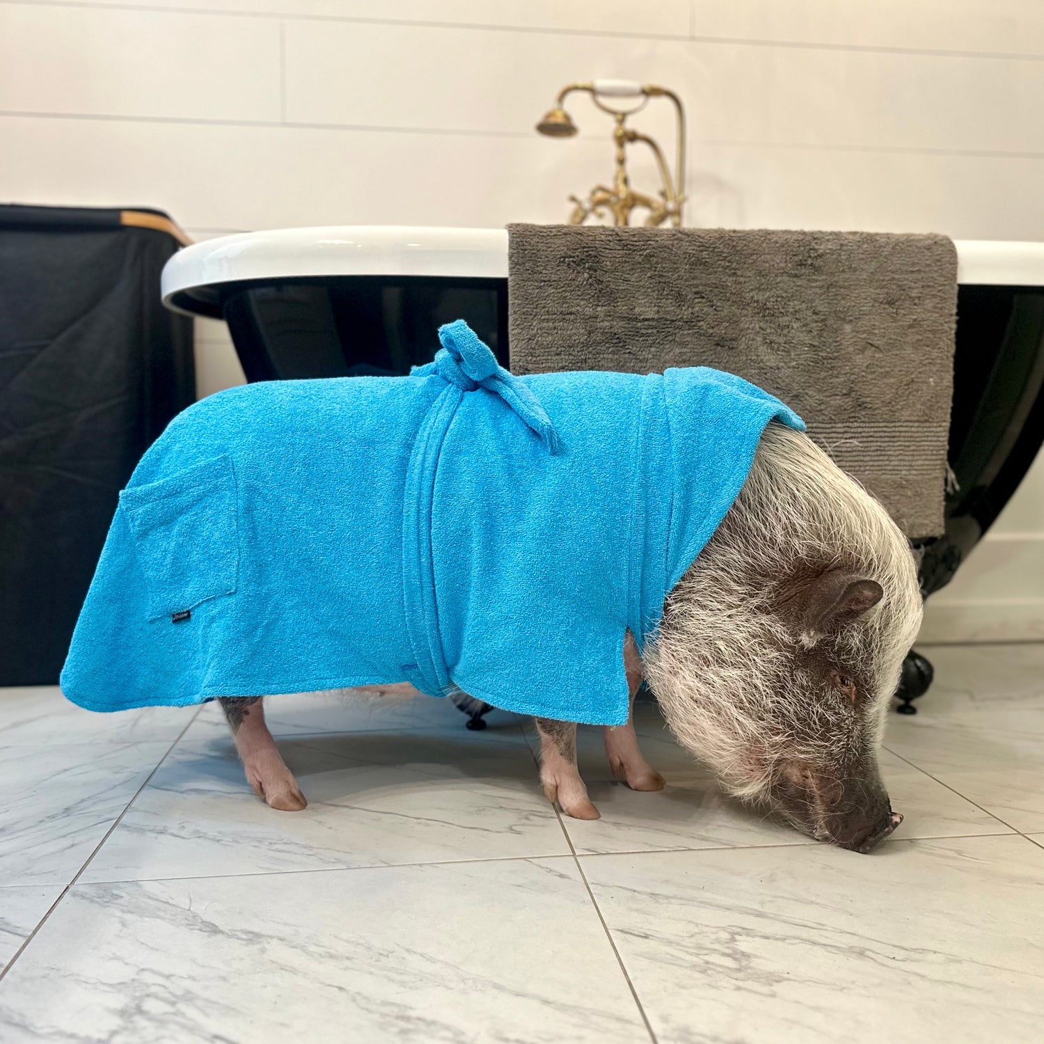 Vêtements