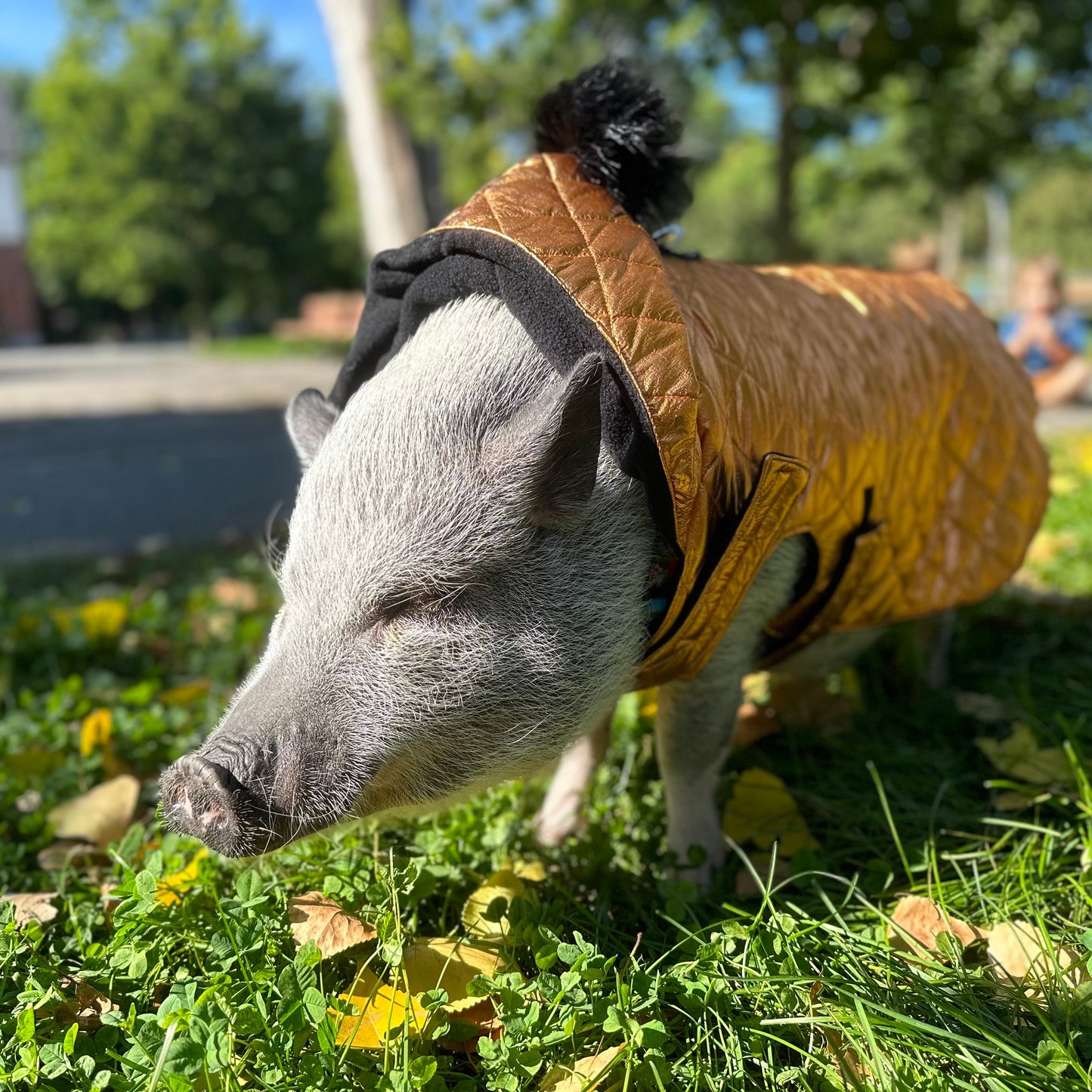 Manteaux d'hiver matelassé - fini imperméable