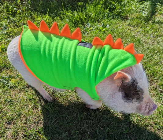 Polar dino
