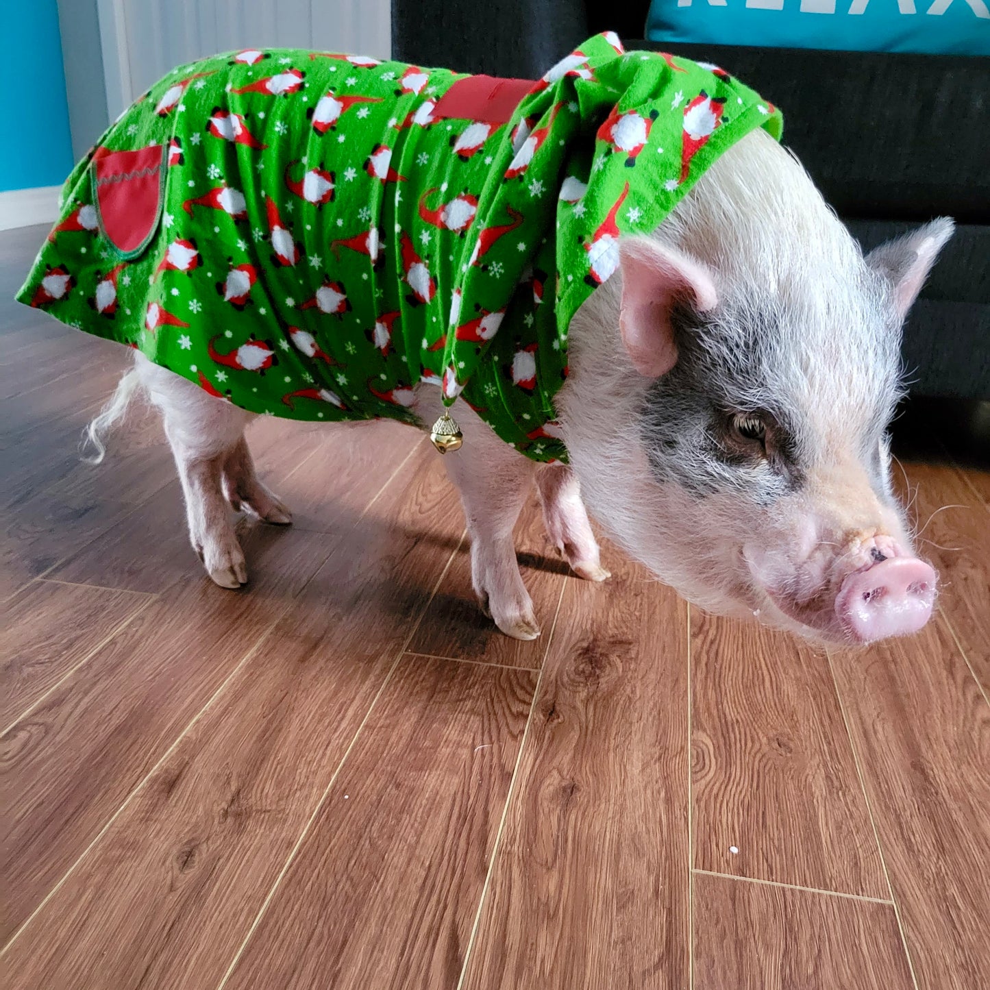 Chemise de Noël - Lutins