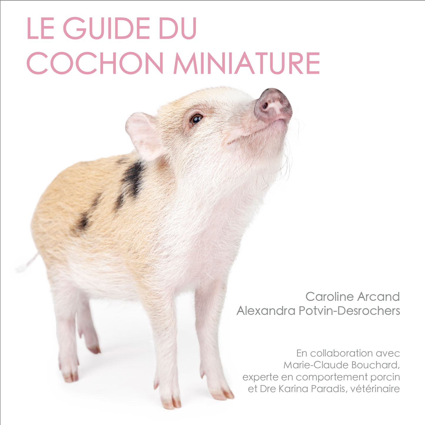 Le guide du cochon miniature