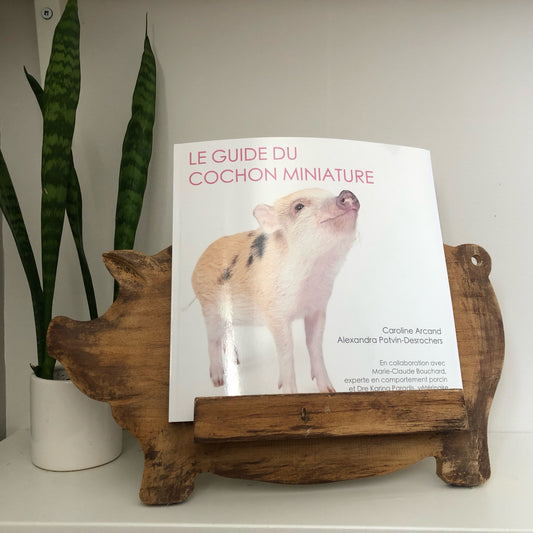 Le guide du cochon miniature